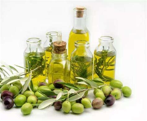 橄榄油的热量(卡路里cal),橄榄油的功效与作用,橄榄油的食用方法,橄榄油的营养价值