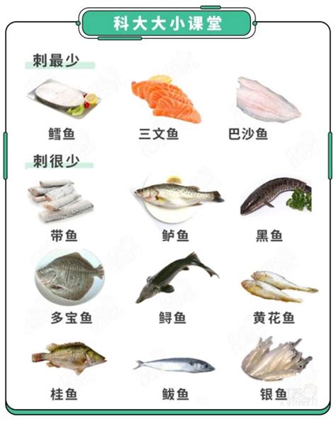 吃的鱼卡通图片-吃的鱼卡通图片素材免费下载-千库网