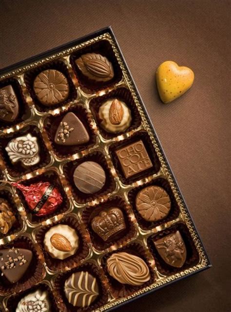 比利时巧克力购买指南-3158餐饮网