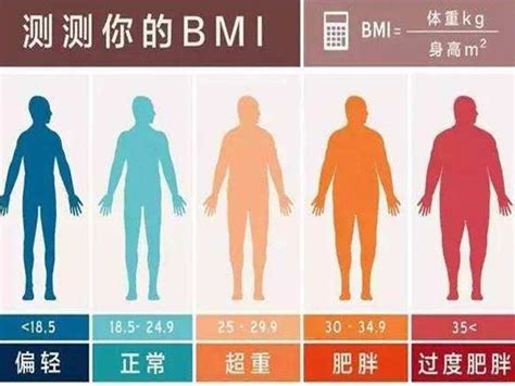 超过一半中国成年人体重不达标？怎么样才算肥胖，通过这2点判断|BMI|体重|中国_新浪新闻