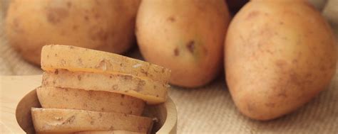 马铃薯是土豆还是红薯，两者的特征 - 花百科