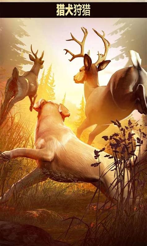 Glu狩猎游戏：猎鹿人重装上阵 猎手人生_游戏狗