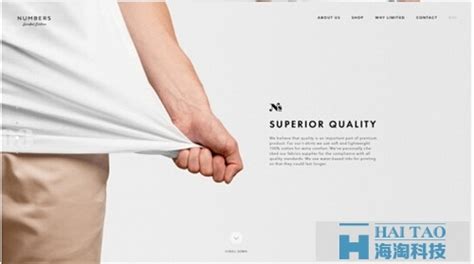 服装公司网站设计的策划书-海淘科技