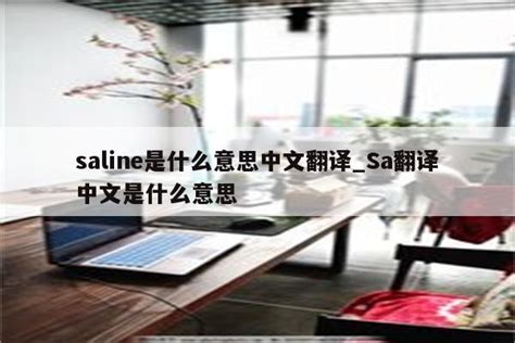saline是什么意思中文翻译_Sa翻译中文是什么意思 - Line相关 - APPid共享网