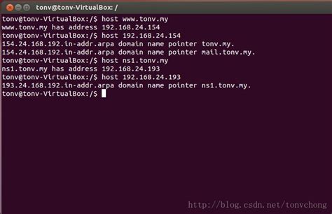 ubuntu 搭建局域网内DNS服务器_Tonvchong的博客-CSDN博客_ubuntu 局域网dns服务器