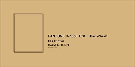 About PANTONE 14-1038 TCX - New Wheat Color - Color codes, similar ...
