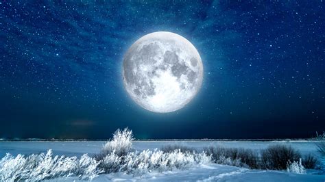 【🌝】今夜は満月「スノームーン」 2023年で最も遠い満月 お月様綺麗°˖ (⁰ ⁰) ˖° : ねことダンボール