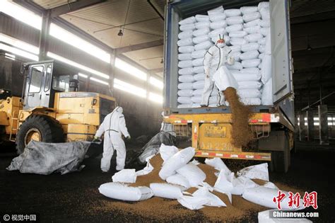 天津销毁108吨禽流感疫区进口猫粮狗粮