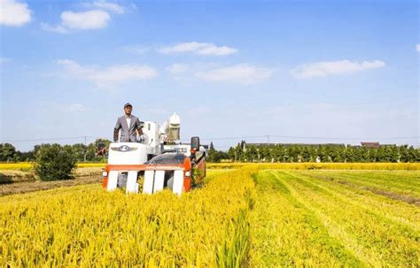种养结合生态循环生产技术与模式-甘肃省农业科学院-畜草与绿色农业研究所