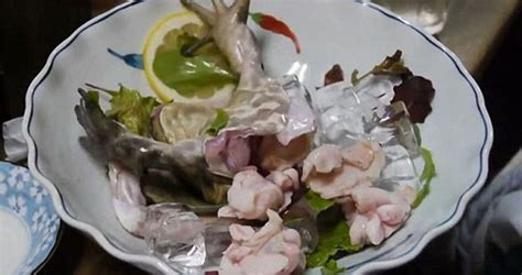日本寿司店推出活剥牛蛙刺身引众怒 被批虐待动物【2】--图片频道--人民网