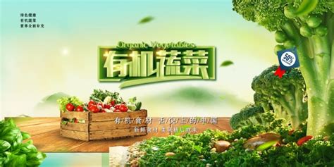 有机蔬菜广告海报设计_站长素材