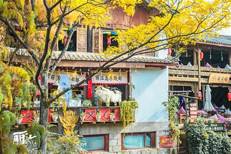 束河古镇——丽江最有文艺气息的古镇，比大研历史更悠久-丽江旅游攻略-游记-去哪儿攻略