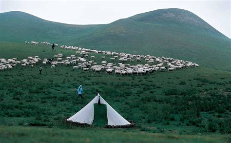 海南藏族自治州因地處青海湖之南而得名，是青海省重要的畜牧業基地之一。-三江源地区文化-图片