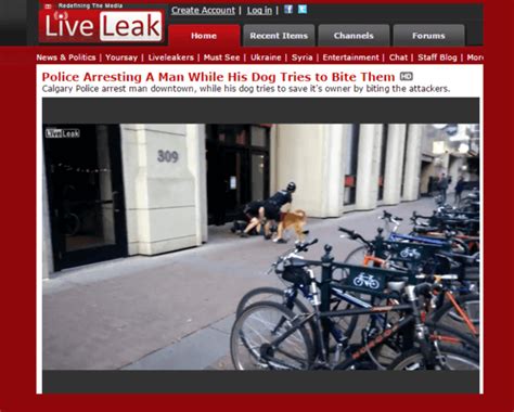 How to download LiveLeak videos on Mac
