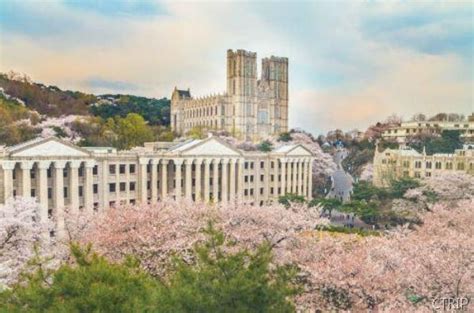 韩国热门大学排行 韩国最出名的大学排行榜_我要学习网留学