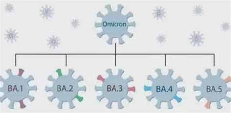 奥密克戎亚型变异株BA.4、BA.5 可逃避疫苗及免疫系统 - 知乎