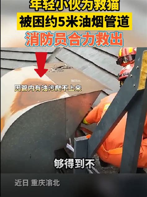 #小伙钻5米油烟管道救猫被困#近日，重... 来自中国消防 - 微博