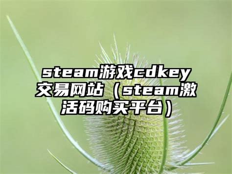 steam游戏cdkey交易网站（steam激活码购买平台）_新游资讯_华辰手游