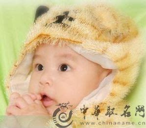 2023年1月出生的虎宝宝起名 大气吉祥的新生儿取名 - 知乎