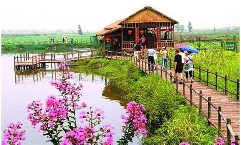 从旅游策划规划人眼里看不拘一格的乡村休闲观光农业创意_北京龙景园旅游规划设计院有限公司