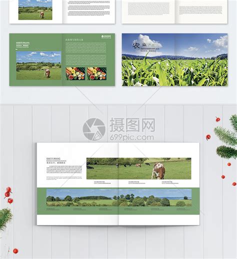 绿色农副产品宣传设计图__海报设计_广告设计_设计图库_昵图网nipic.com