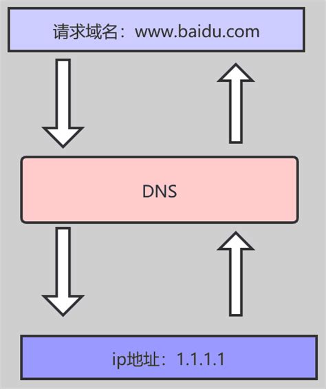 DNS正向解析区域的配置_正向区域-CSDN博客