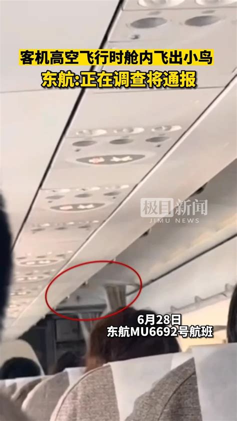 男子炫耀签派朋友为其调配大飞机 海南航空回应澄清_民航_资讯_航空圈