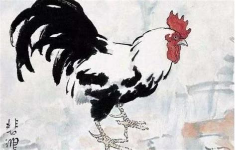 1981年属鸡取名宜用字 属鸡取名的吉祥字