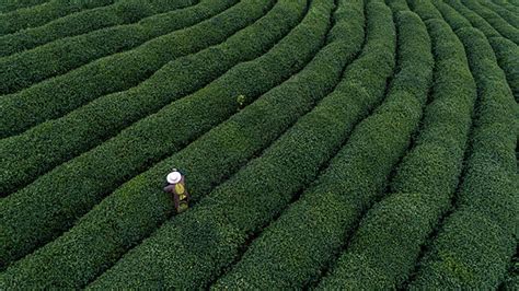 中国茶，茶之道|摄影|产品摄影|Tos茶白 - 原创作品 - 站酷 (ZCOOL)