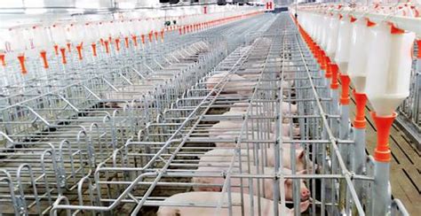 猪场设备企业齐发力，引领2015世界养猪产业博览会参展热潮 | 中国动物保健·官网