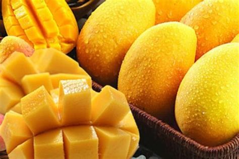 芒果的热量高不高它是减肥水果吗-减肥期间晚上吃芒果会不会胖-趣丁网