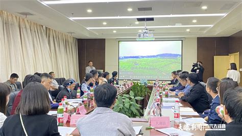 2023年梵净山抹茶大会在铜仁举行，现场签约5.39亿元_铜仁网