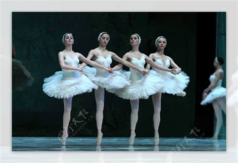 【圣彼得堡俄罗斯芭蕾舞《天鹅湖》摄影图片】纪实摄影_太平洋电脑网摄影部落