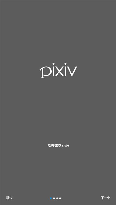 p站pixiv中文版app下载-p站中文版2024最新版v6.96.0安卓版下载_骑士下载