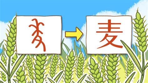你知道古代“麦”字长什么样吗？原来麦是这样演变成现代汉字的_高清1080P在线观看平台_腾讯视频