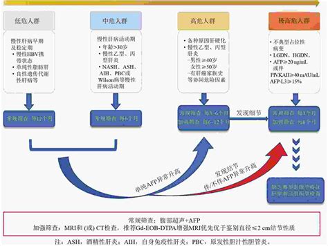 中国肿瘤整合诊治指南-肝癌（2022精简版）