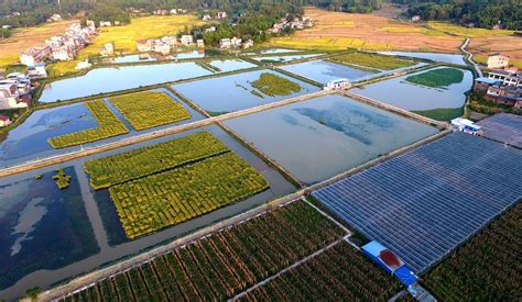 农业农村部重点推广：十大生态农业模式 - 中智科博产业规划网