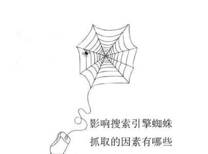 蜘蛛快速抓取网站方法大合集_超级蜘蛛查