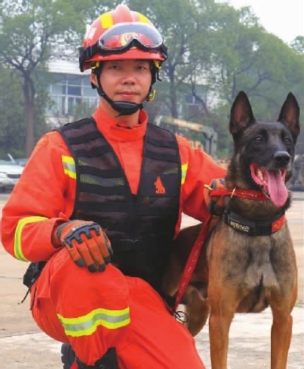 明星搜救犬如何养成? 记者探访长沙搜救犬训练基地找答案 - 今日关注 - 湖南在线 - 华声在线