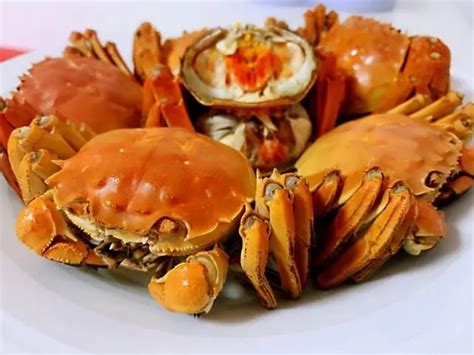 蒸螃蟹好吃有技巧，牢记3点，不流黄不掉腿，肉质鲜美没腥味 - 知乎