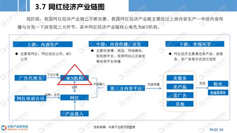 《2020年中国网红经济市场前景及投资研究报告》__财经头条