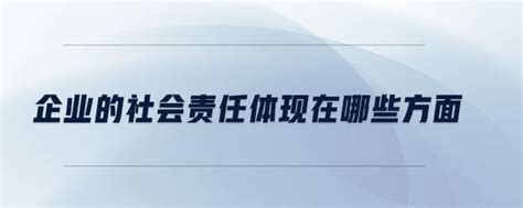 中国社会责任百人论坛ESG专委会：中国企业社会责任报告指南 | 先导研报