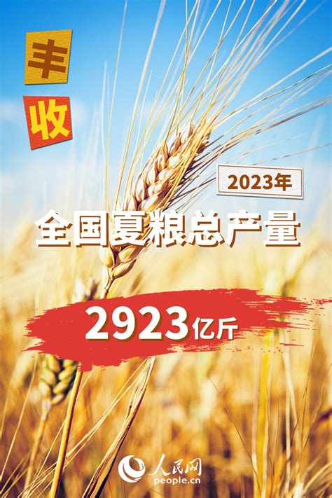 2023年全国夏粮总产量14613万吨 实现丰收-西部之声
