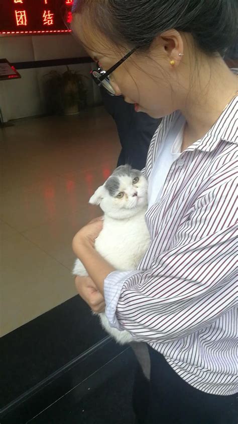 子晴放学抱了一只猫回家_腾讯视频