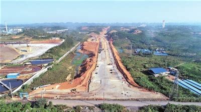 绿色崛起！广西来宾做大百亿级木材高端加工产业！-地板网