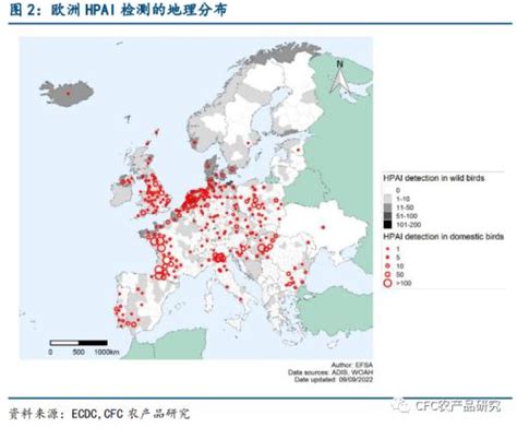 欧洲史上最大规模禽流感，对我国有何影响？-期货-金融界