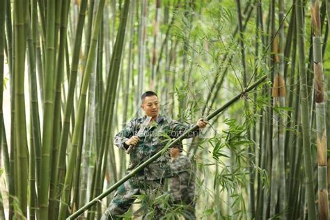 贵州赤水：志愿采伐队助农伐竹忙-人民图片网