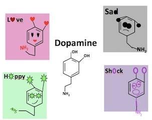 多巴胺是什么？它有哪些功能？ - 知乎