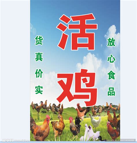 鸡汁大白鱼摄影图__传统美食_餐饮美食_摄影图库_昵图网nipic.com