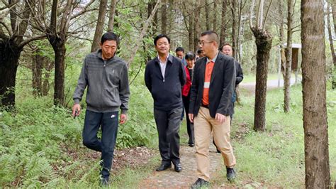 藏东南地区森林碳利用效率时空动态研究及预估 - 作品赏析 - 2022年第二十届SuperMap杯高校GIS大赛